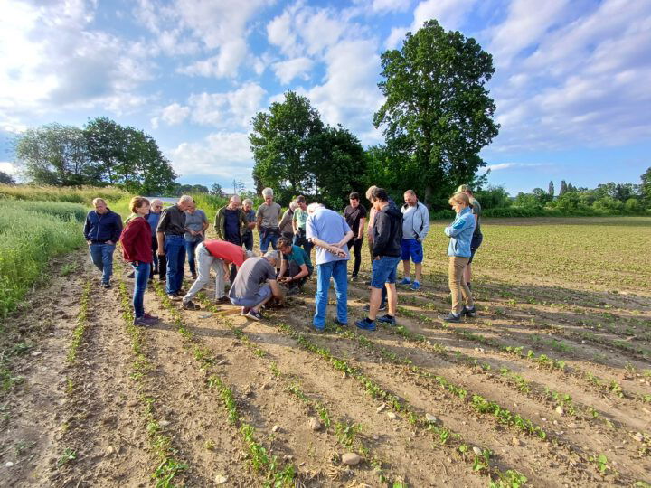 © Bio Ernte Steiermark Personen auf Feld